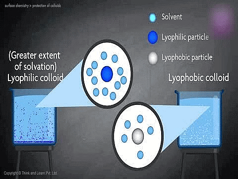 Colloids & Its Classification | Chemistry for JEE Main & Advanced