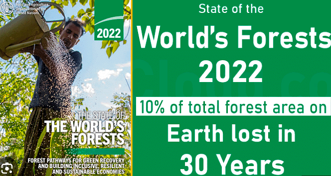 State of the World`s Forests (SOFO)
