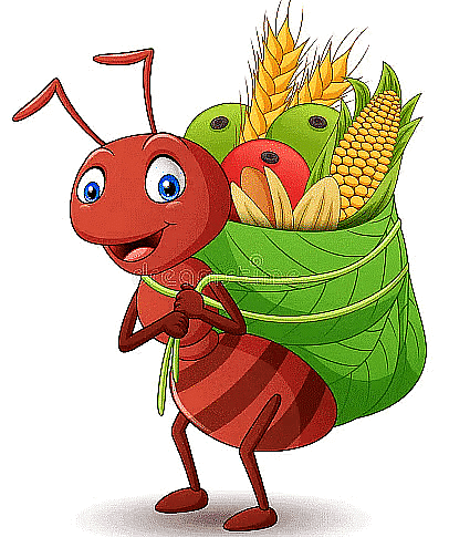 Anita and The Honeybees - 1 Class 4 Worksheet EVS Chapter 5