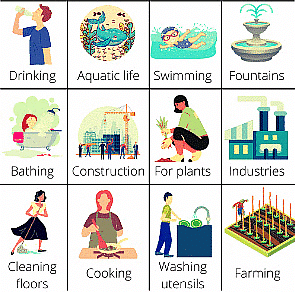 Wastewater story Class 7 Notes Science Chapter 13
