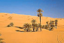 The Great Indian Desert Class 4 Notes SST