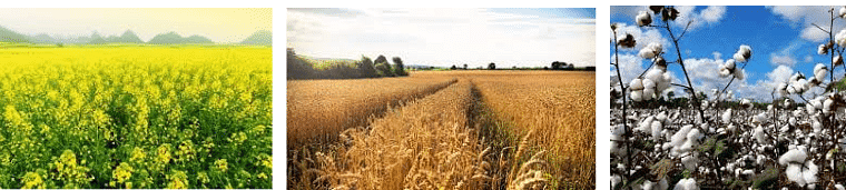 The Northern Plains Class 4 Notes SST