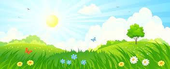 Wake Up Class 4 Worksheet English