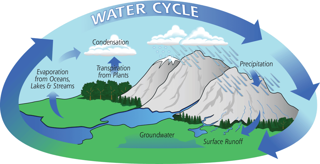 Class 7 Geography Chapter 5 Notes - Water