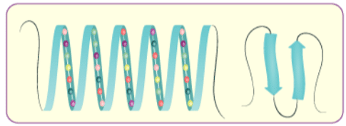 Proteins & Amino Acids | General Awareness - Bank Exams