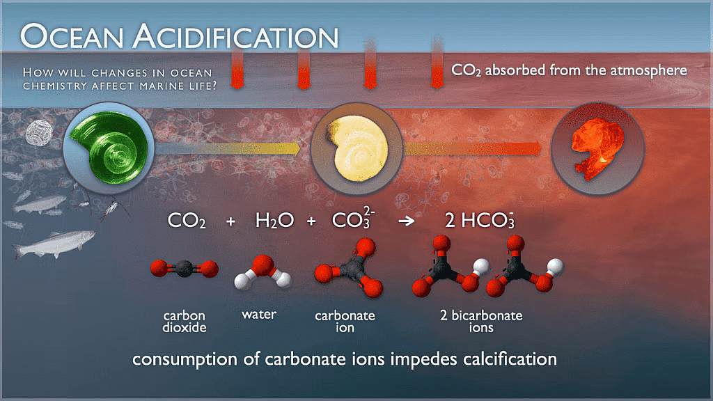 Chemical Reaction involved in ocean acidification