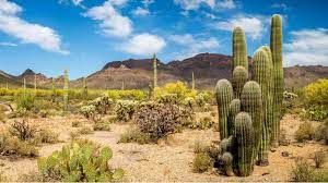 The Great Indian Desert Class 4 Notes SST