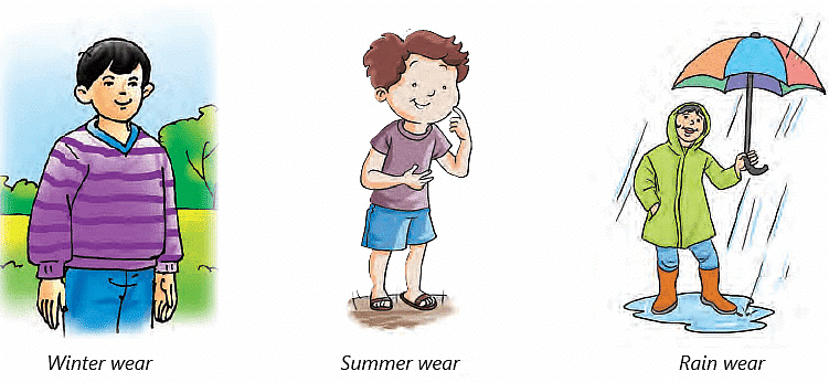 Clothes â€“ Our Protection Class 4 Notes Science