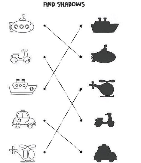 Worksheet Solutions: Transport | EVS for LKG