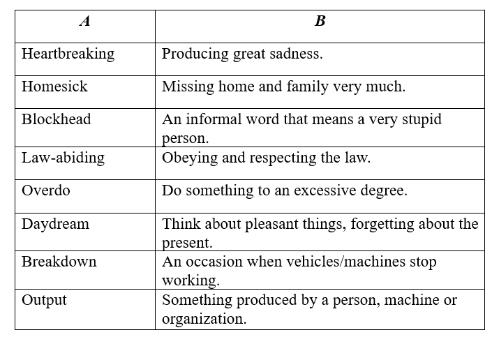 NCERT Solutions for Class 10 English Chapter 4 - From the Diary of Anne Frank