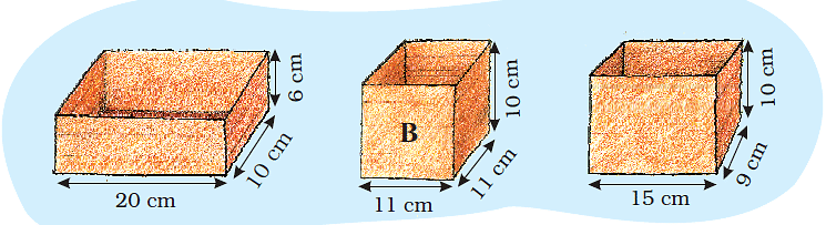 NCERT Solutions: How Big, How Heavy