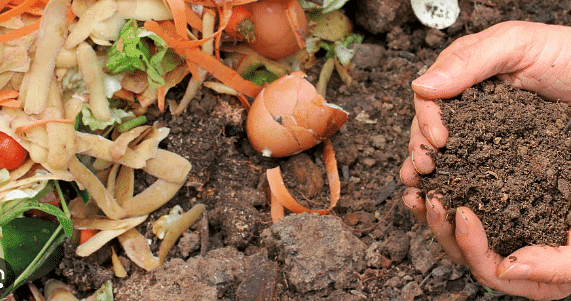 Bio-degradable waste