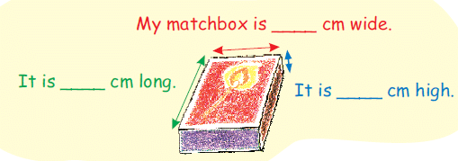 NCERT Solutions: How Big, How Heavy