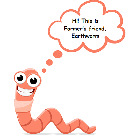 A Seed Tells a Farmer’s Story - 1 Class 5 Worksheet EVS Chapter 19
