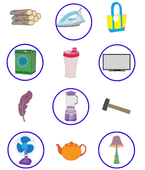 Worksheet Solutions: Electrical Appliances | EVS for LKG