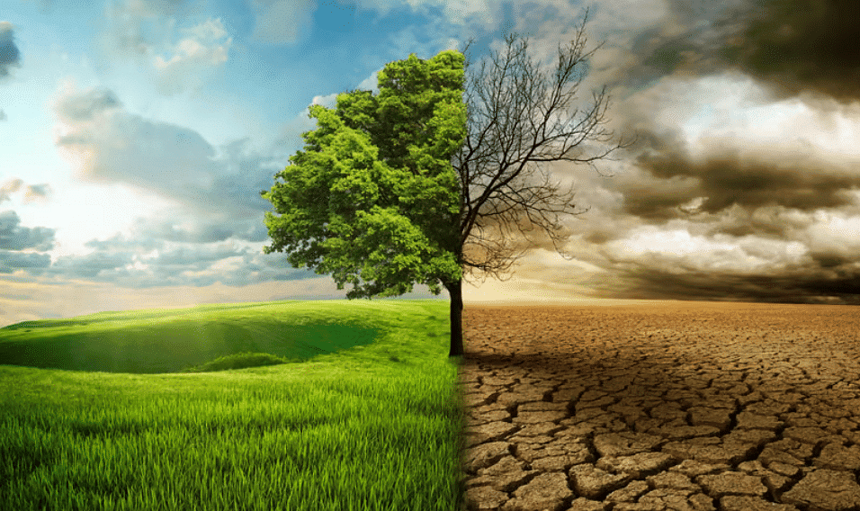 Land Environment