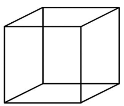 Class 5 Maths - Boxes And Sketches - CBSE Worksheets Solutions