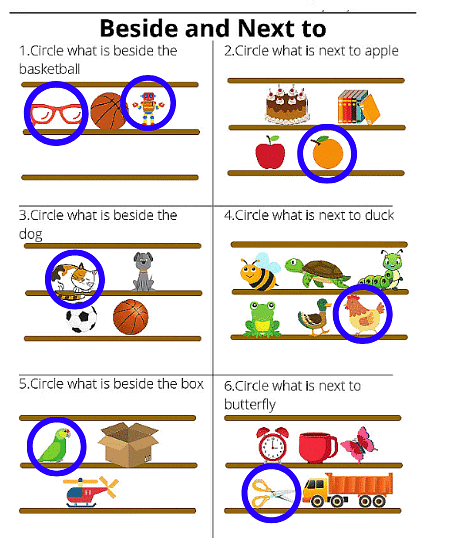 Worksheet Solutions: Beside and Next to | Maths for LKG