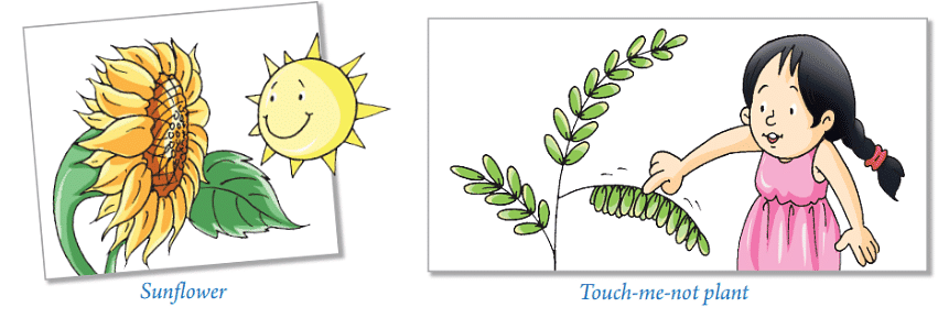 Living and Non-Living Things Chapter Notes | Science Olympiad Class 4