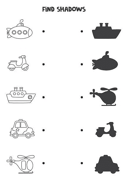 Worksheet Solutions: Transport | EVS for LKG