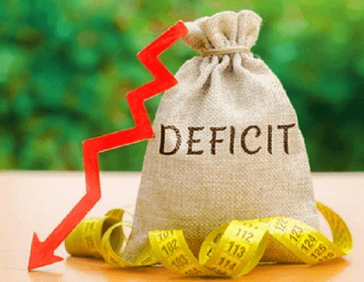 Ramesh Singh Summary: Public Finance in India- 1 | Indian Economy for UPSC CSE