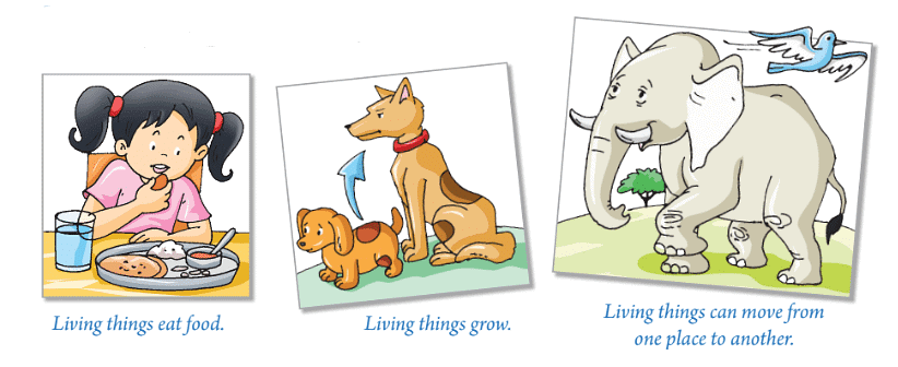 Living and Non-Living Things Chapter Notes | Science Olympiad Class 4
