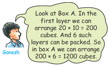 NCERT Solutions: How Big, How Heavy