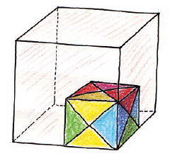 NCERT Solutions: How Big, How Heavy
