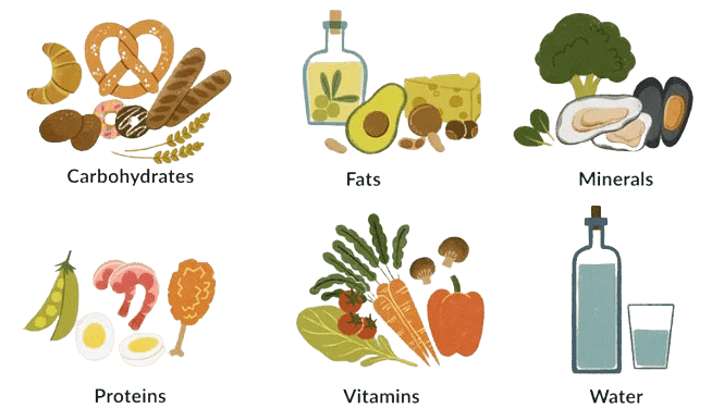 Nutrients