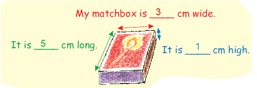 NCERT Solutions: How Big, How Heavy