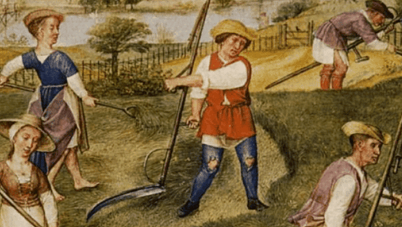 Medieval Peasants