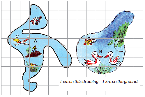 NCERT Solutions: Area and Its Boundary