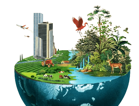 Biodiversity