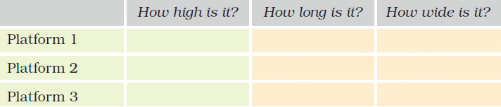 NCERT Solutions: How Big, How Heavy