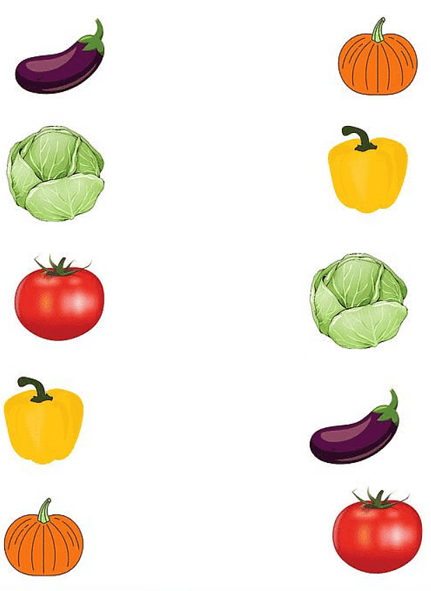 Worksheet: Fruits & Vegetables - 2 | EVS for LKG