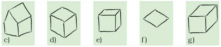 Class 5 Maths - Boxes And Sketches - CBSE Worksheets Solutions