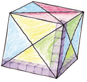 NCERT Solutions: How Big, How Heavy