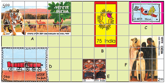 NCERT Solutions: How Many Squares?