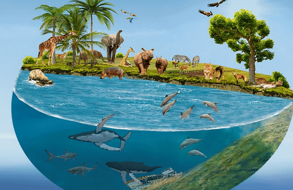 Biological Diversity
