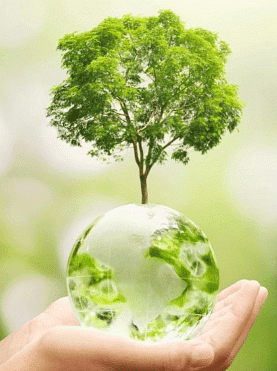 Shankar IAS Summary:  Environmental Impact Assessment- 1 | Famous Books for UPSC Exam (Summary & Tests)