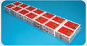 NCERT Solutions: How Big, How Heavy