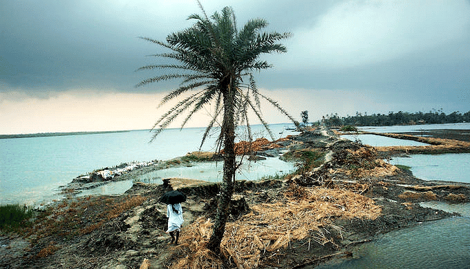 Climate Change and Environment