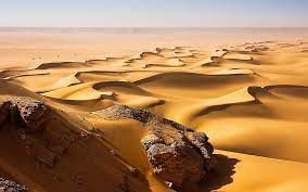 Sahara
