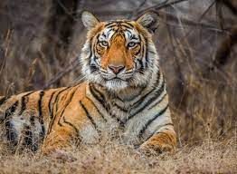 Class 8 Science Chapter 5 Important Question Answers - Conservation of Plants and Animals
