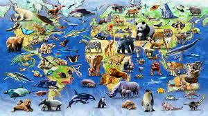 Species