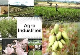 MCQ (Solution) - Industries | Social Studies (SST) Class 8