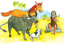 How the Camel Got His Hump Summary Class 8 English It So Happened Chapter 1