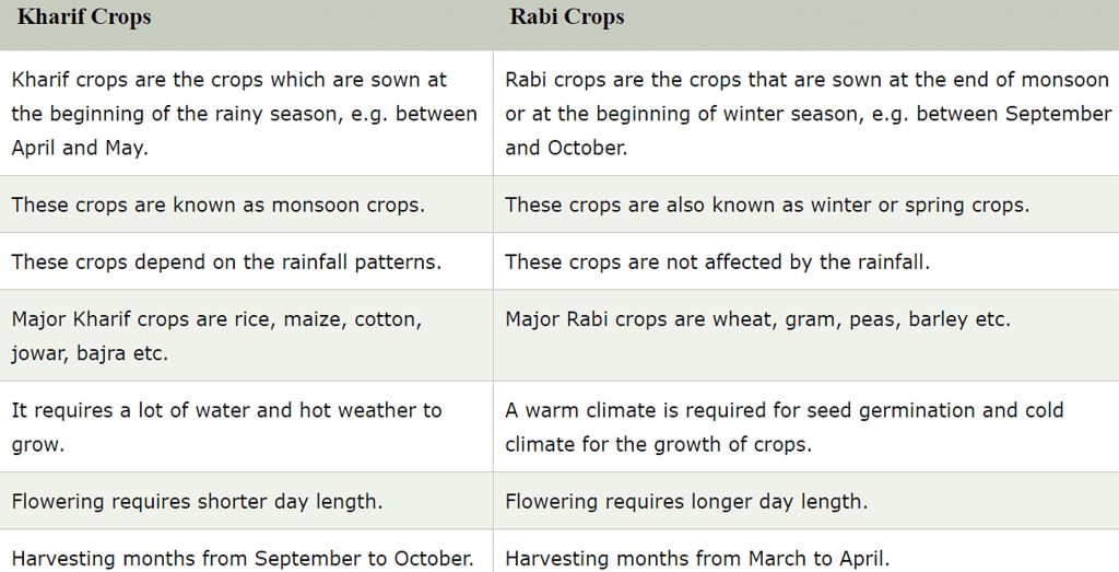Kharif vs Rabi