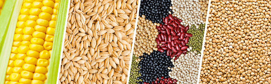 Examples of Crops