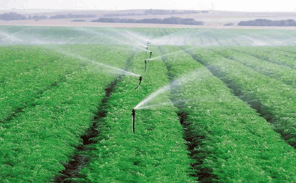 Sprinkler system
